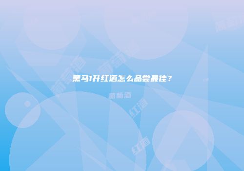 黑马1升红酒怎么品尝最佳？