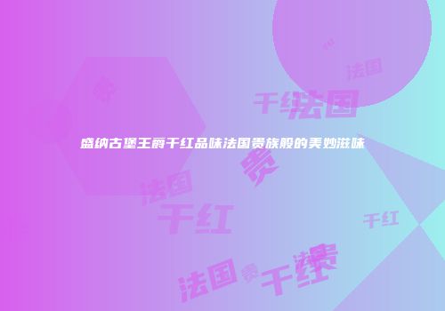 盛纳古堡王爵干红品味法国贵族般的美妙滋味