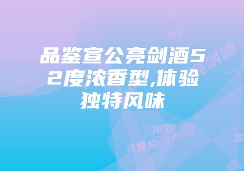 品鉴宣公亮剑酒52度浓香型,体验独特风味