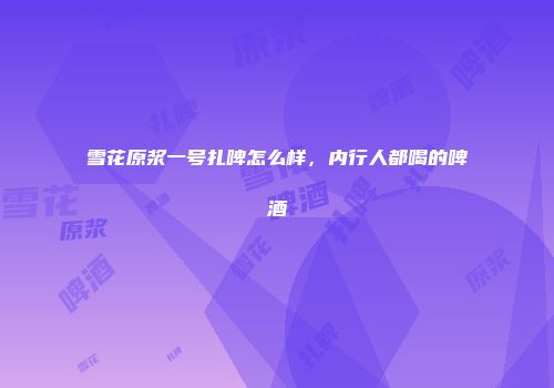 雪花原浆一号扎啤怎么样，内行人都喝的啤酒