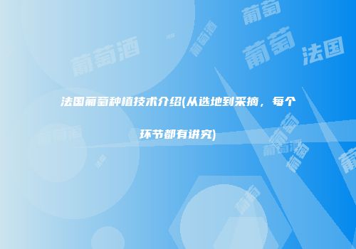 法国葡萄种植技术介绍(从选地到采摘，每个环节都有讲究)
