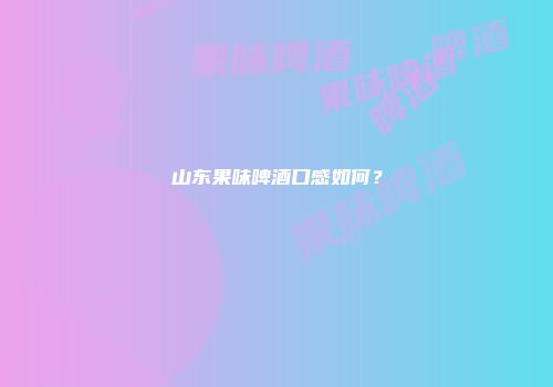 山东果味啤酒口感如何？