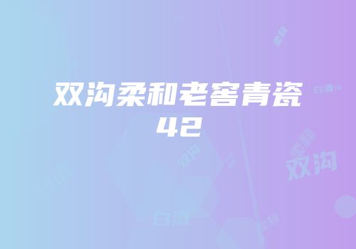 双沟柔和老窖青瓷42
