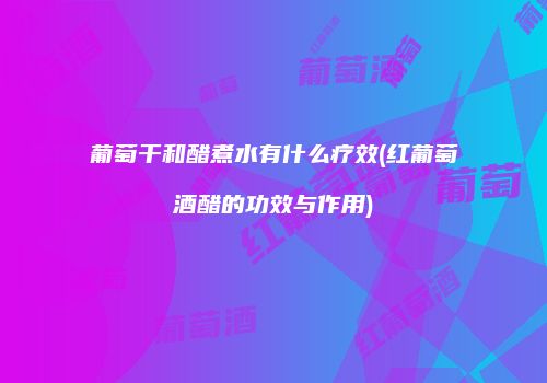 葡萄干和醋煮水有什么疗效(红葡萄酒醋的功效与作用)