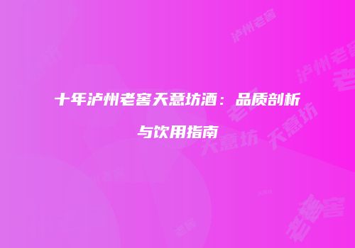十年泸州老窖天意坊酒：品质剖析与饮用指南