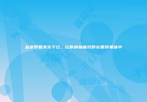 品鉴野鹿美乐干红，让你的味蕾沉醉在香醇果味中