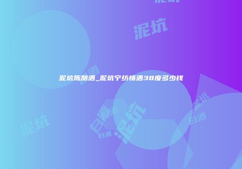 泥坑陈酿酒_泥坑宁纺情酒38度多少钱