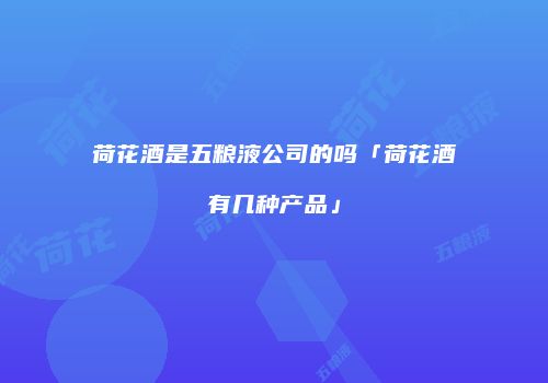 荷花酒是五粮液公司的吗「荷花酒有几种产品」