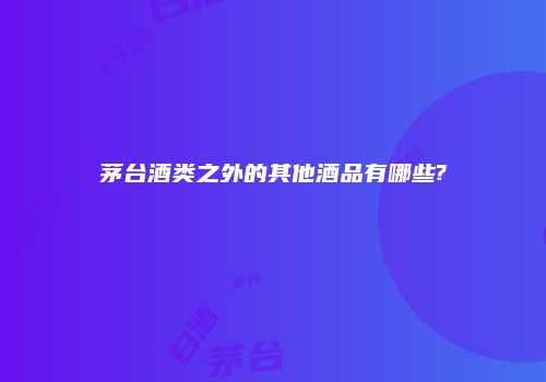 茅台酒类之外的其他酒品有哪些?