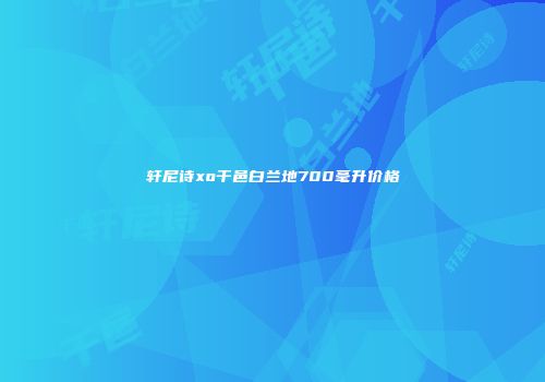 轩尼诗xo干邑白兰地700毫升价格