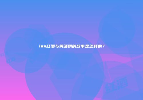 lan红酒与黄晓明的故事是怎样的？