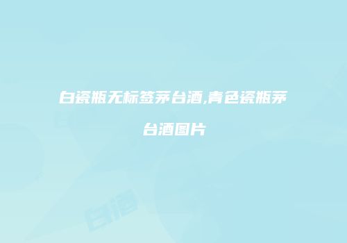 白瓷瓶无标签茅台酒,青色瓷瓶茅台酒图片