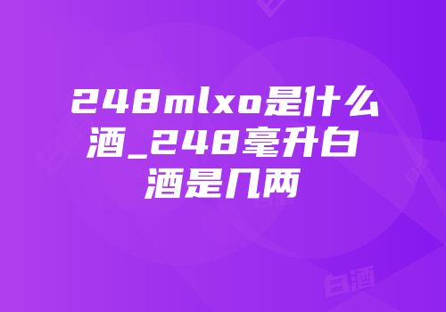 248mlxo是什么酒_248毫升白酒是几两