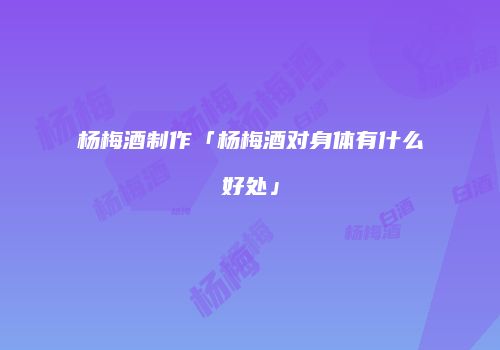 杨梅酒制作「杨梅酒对身体有什么好处」
