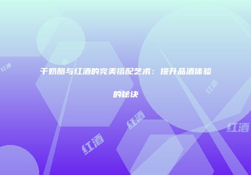 干奶酪与红酒的完美搭配艺术：提升品酒体验的秘诀