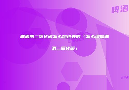 啤酒的二氧化碳怎么加进去的「怎么增加啤酒二氧化碳」