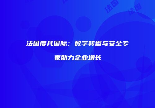 法国度凡国际：数字转型与安全专家助力企业增长