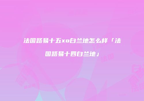 法国路易十五xo白兰地怎么样「法国路易十四白兰地」