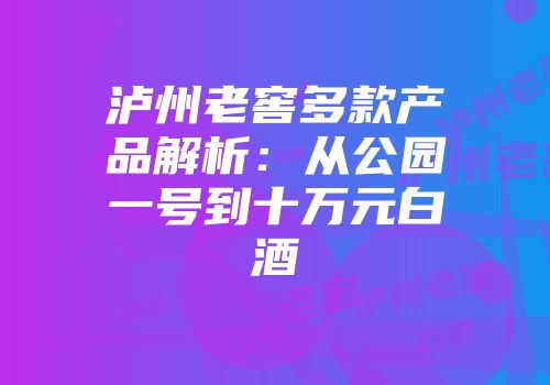 泸州老窖多款产品解析：从公园一号到十万元白酒