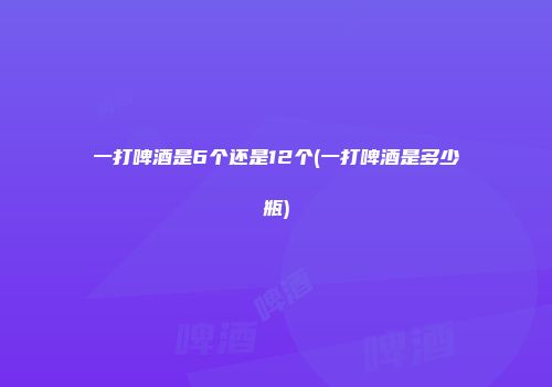 一打啤酒是6个还是12个(一打啤酒是多少瓶)