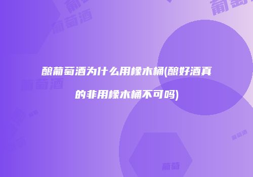 酿葡萄酒为什么用橡木桶(酿好酒真的非用橡木桶不可吗)