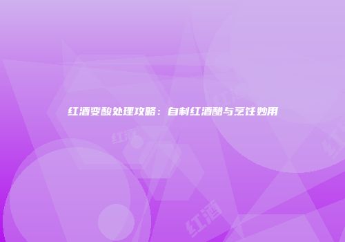 红酒变酸处理攻略：自制红酒醋与烹饪妙用