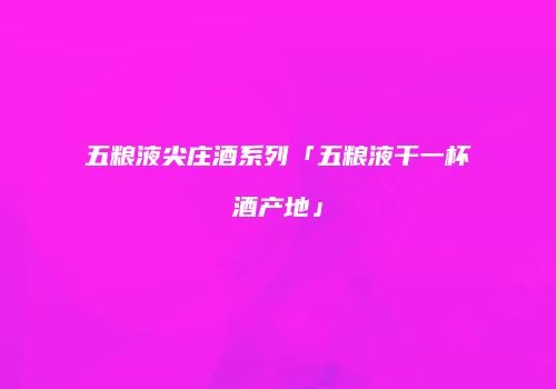 五粮液尖庄酒系列「五粮液干一杯酒产地」