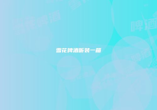 雪花啤酒听装一箱