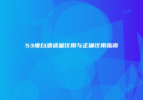 53度白酒适量饮用与正确饮用指南
