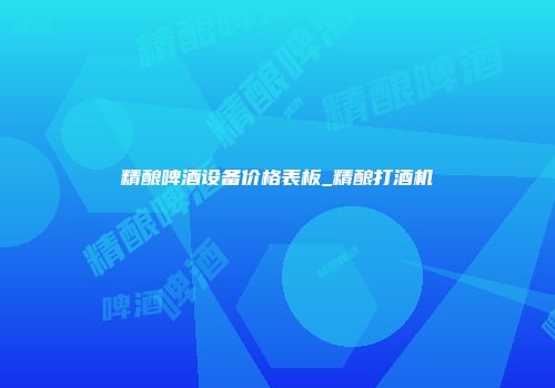 精酿啤酒设备价格表板_精酿打酒机