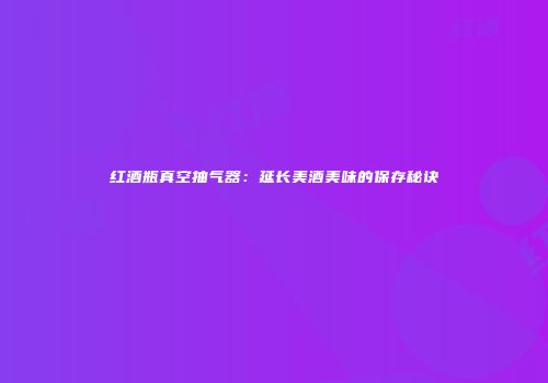 红酒瓶真空抽气器：延长美酒美味的保存秘诀