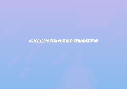 威龙白兰地价格大调查你知道的还不够