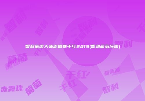 智利葡园大师赤霞珠干红2013(智利葡萄庄园)