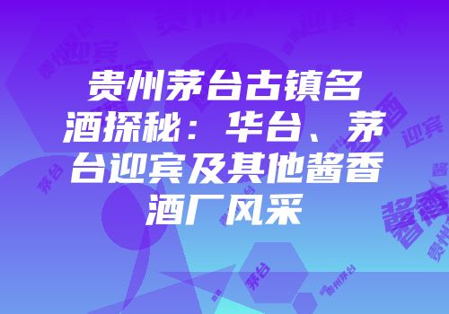 贵州茅台古镇名酒探秘：华台、茅台迎宾及其他酱香酒厂风采