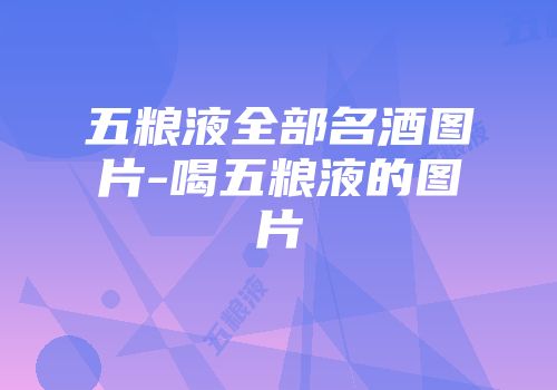 五粮液全部名酒图片-喝五粮液的图片