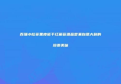 百瑞小拉菲黑皮诺干红葡萄酒品尝来自意大利的珍贵美味