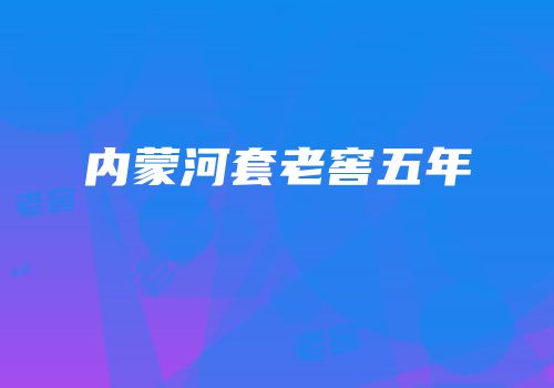 内蒙河套老窖五年