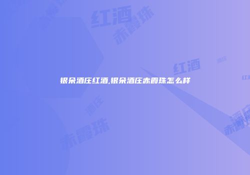银朵酒庄红酒,银朵酒庄赤霞珠怎么样