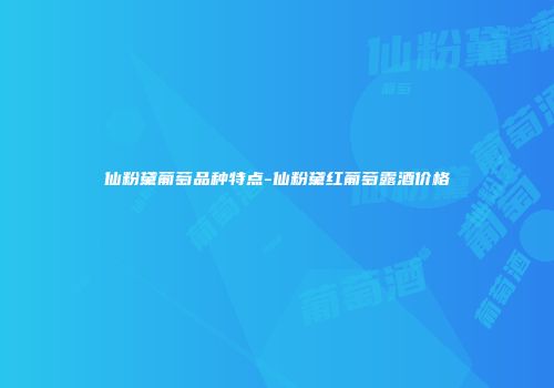 仙粉黛葡萄品种特点-仙粉黛红葡萄露酒价格