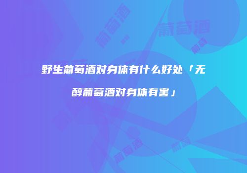 野生葡萄酒对身体有什么好处「无醇葡萄酒对身体有害」