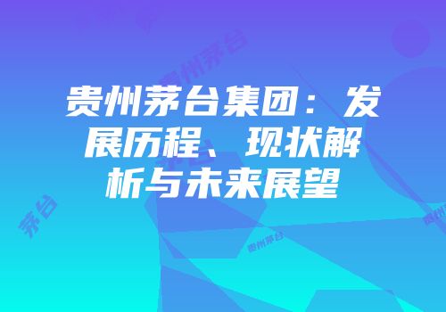 贵州茅台集团：发展历程、现状解析与未来展望