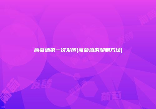 葡萄酒第一次发酵(葡萄酒的酿制方法)
