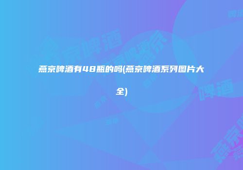 燕京啤酒有48瓶的吗(燕京啤酒系列图片大全)