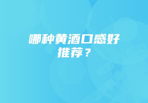 哪种黄酒口感好推荐？