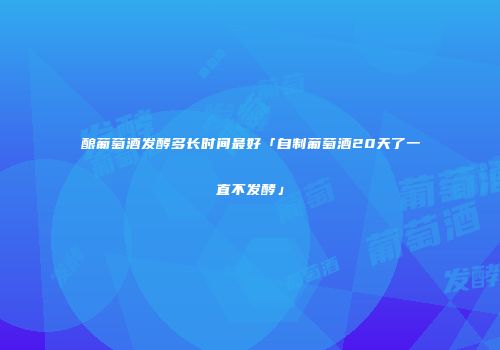 酿葡萄酒发酵多长时间最好「自制葡萄酒20天了一直不发酵」