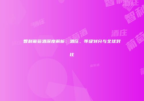智利葡萄酒深度解析：酒庄、等级划分与全球对比