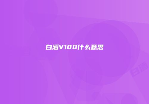 白酒V100什么意思