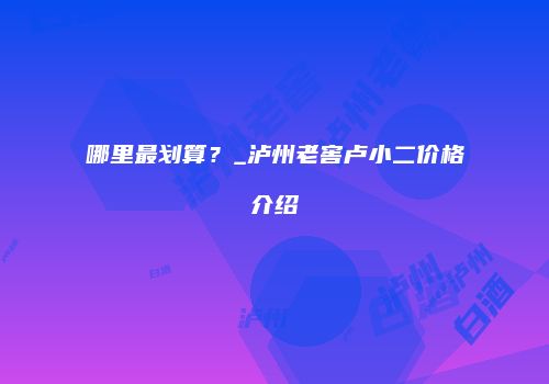 哪里最划算？_泸州老窖卢小二价格介绍