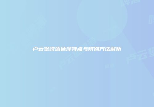 卢云堡啤酒色泽特点与辨别方法解析