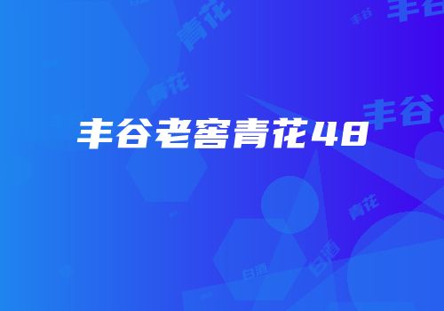 丰谷老窖青花48